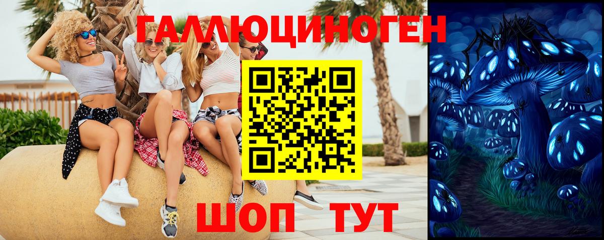 Псилоцибиновые грибы мицелий Шали