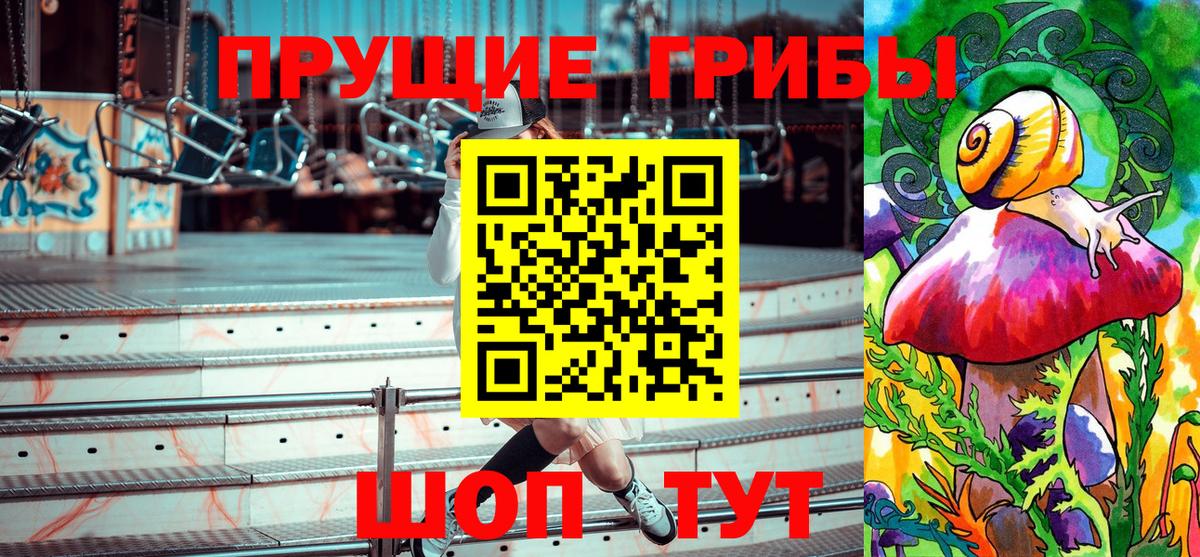 Шали  Галлюциногенные грибы MAGIC MUSHROOMS  Вход с VPN 