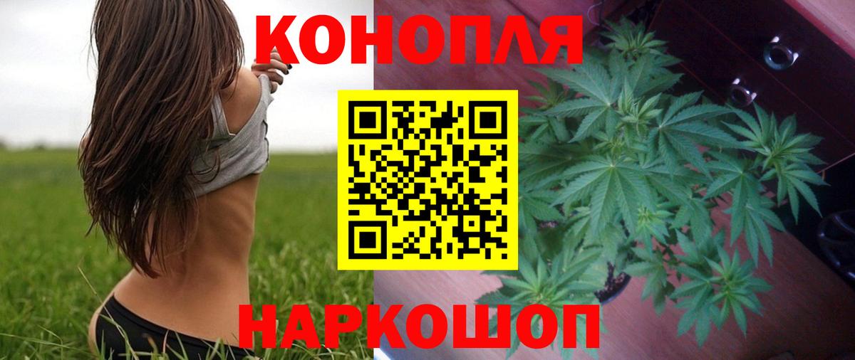 Бошки Шишки Ganja  Шишки марихуана AK-47  Бошки Шишки сатива  Шали  Вход с VPN 